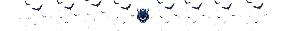 BVamp