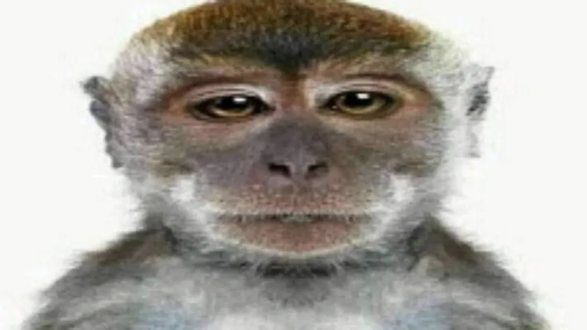 trukuu