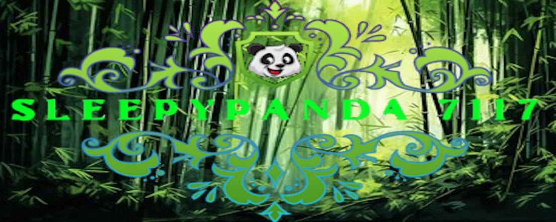 SleepyPanda7117