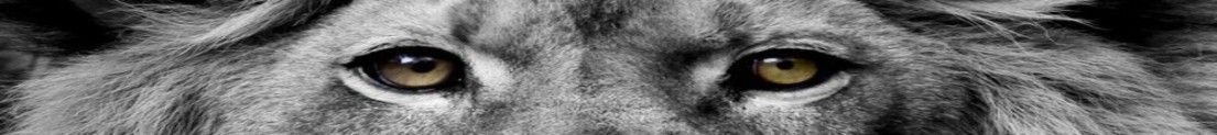 AeS7