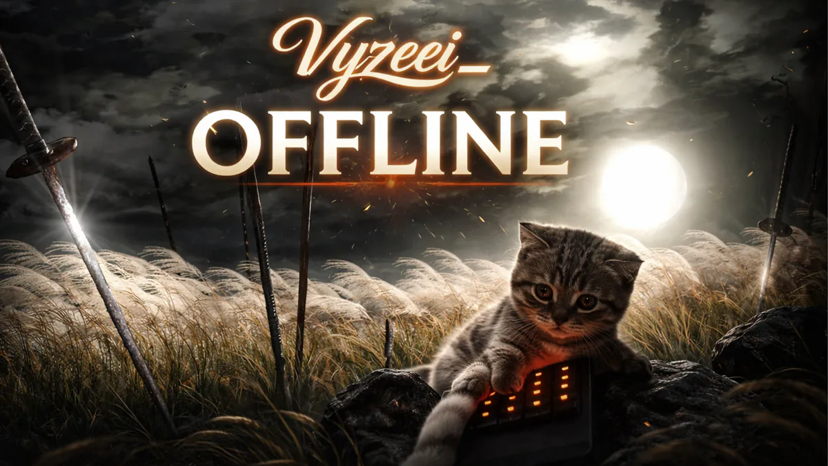 Vyzeei