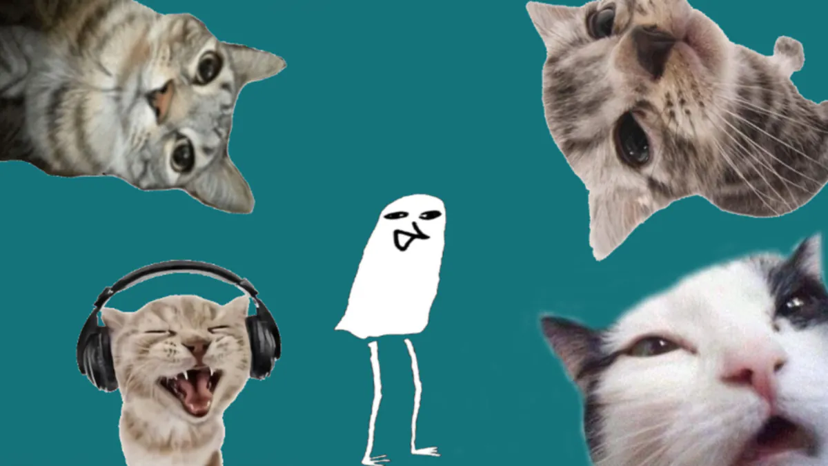 TooruZora