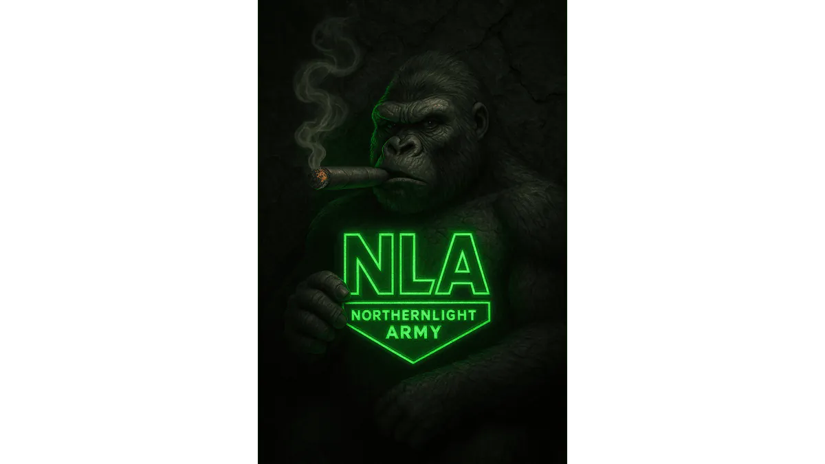 mrNorthernLight