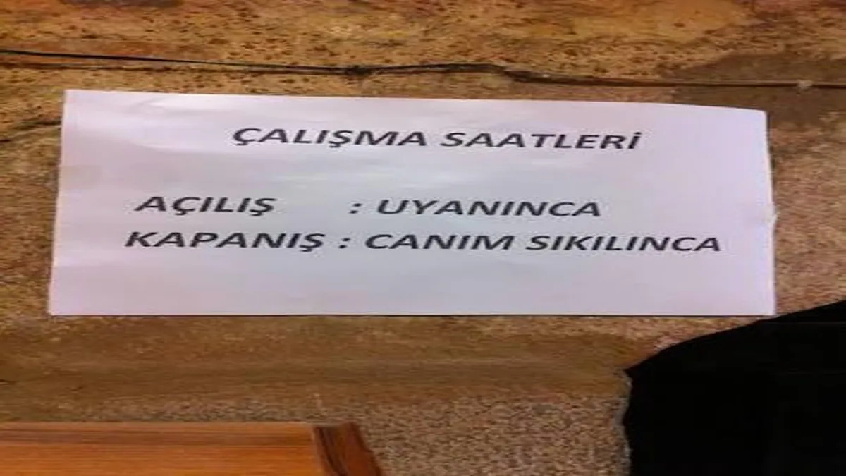 sylvip