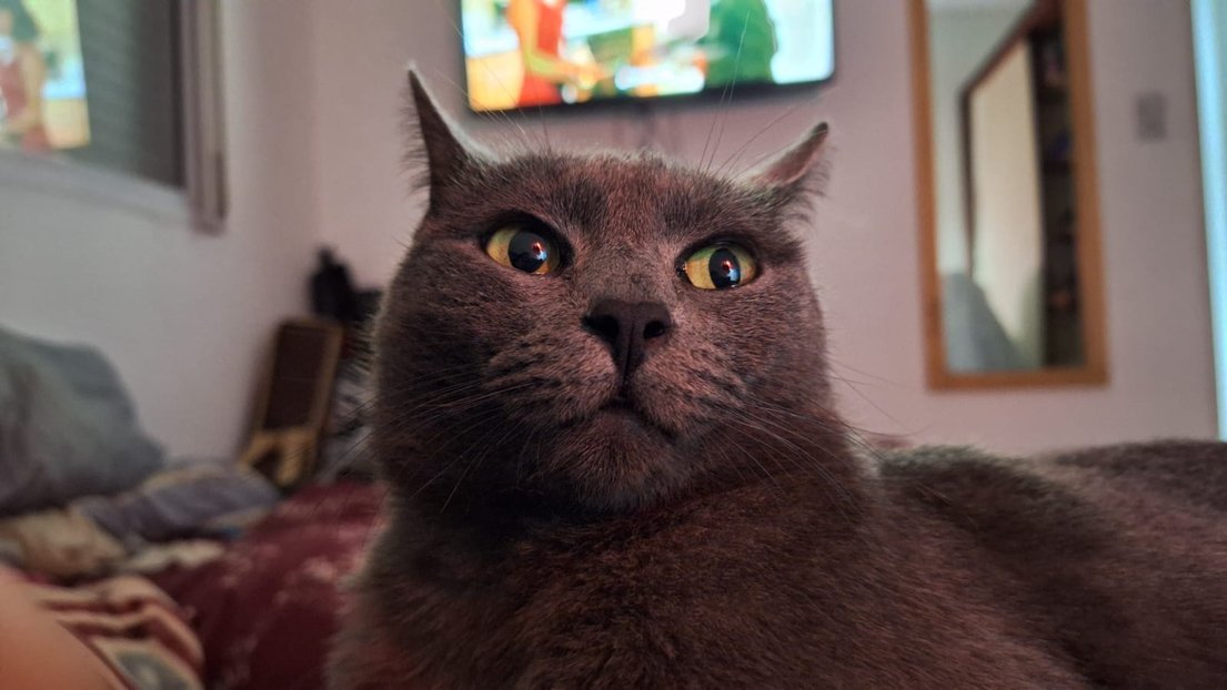 CuoreAlone