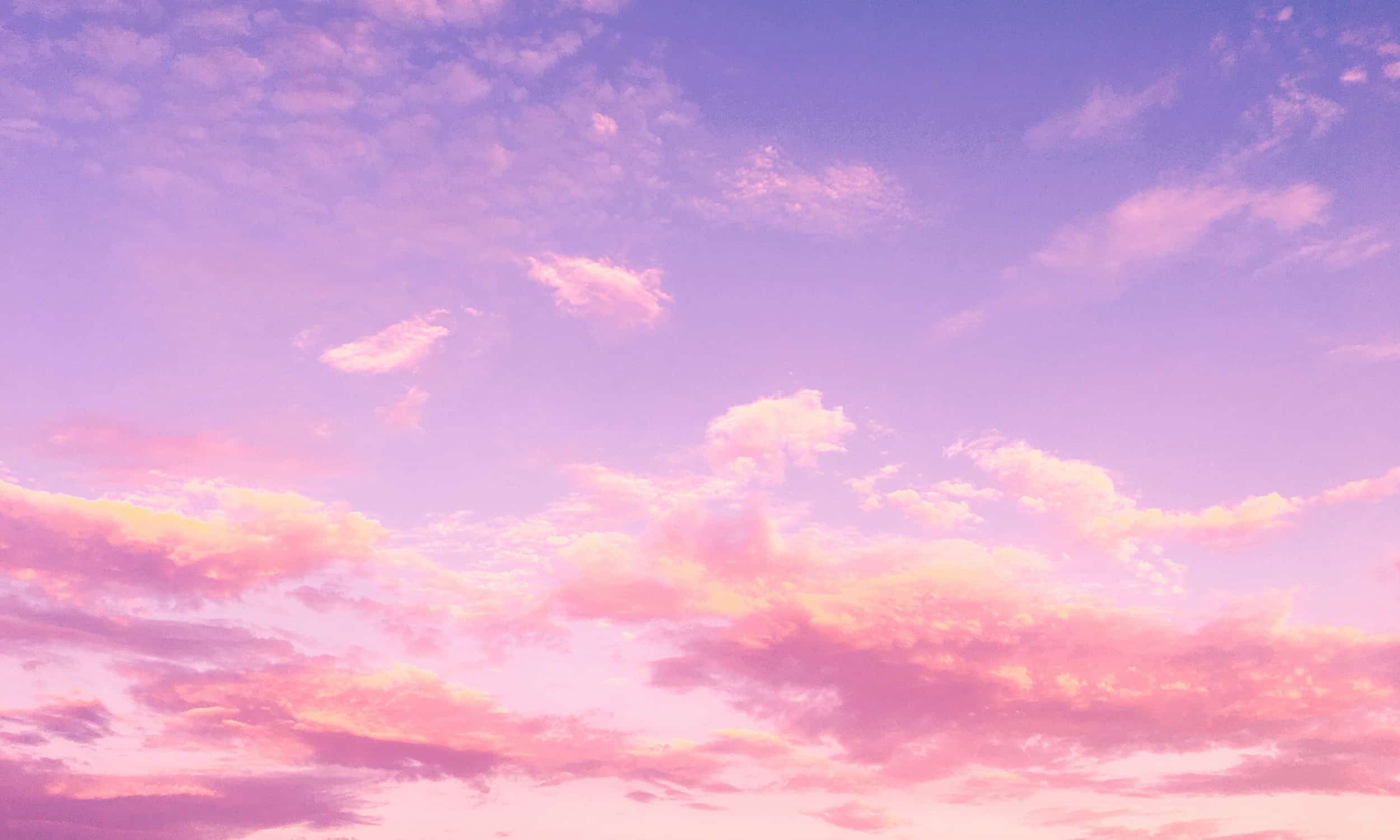 Kick banner for @wigged
