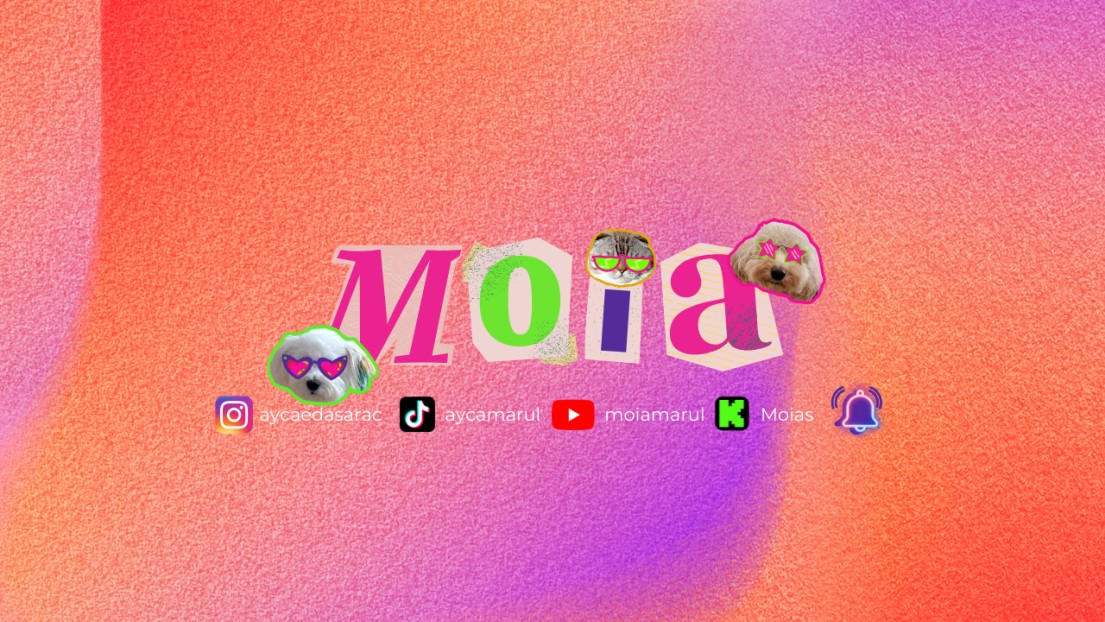 Moias
