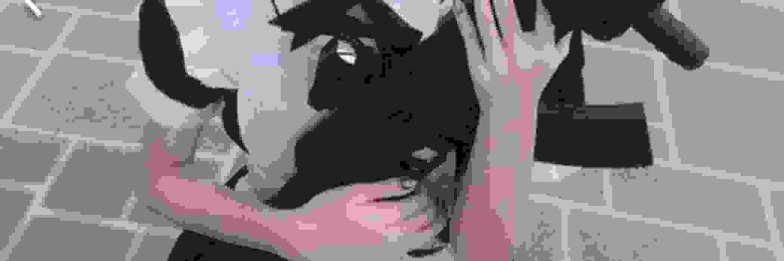 ssJxhn