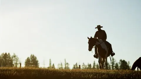 ConcreteCowboyx