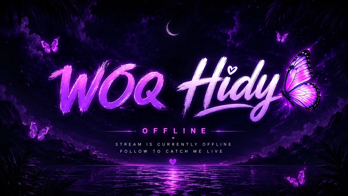 HidyZB