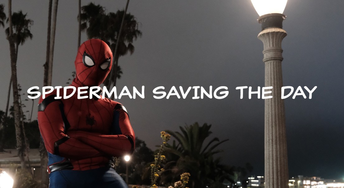SpiderManSavingTheDay