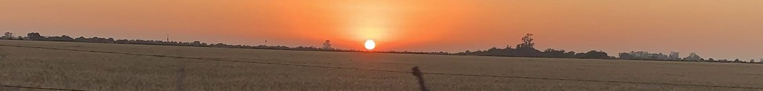 Augu_Cordoba