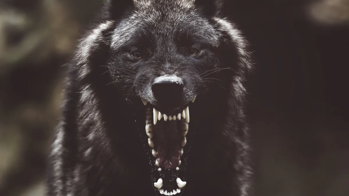 BlackWolf_Rust