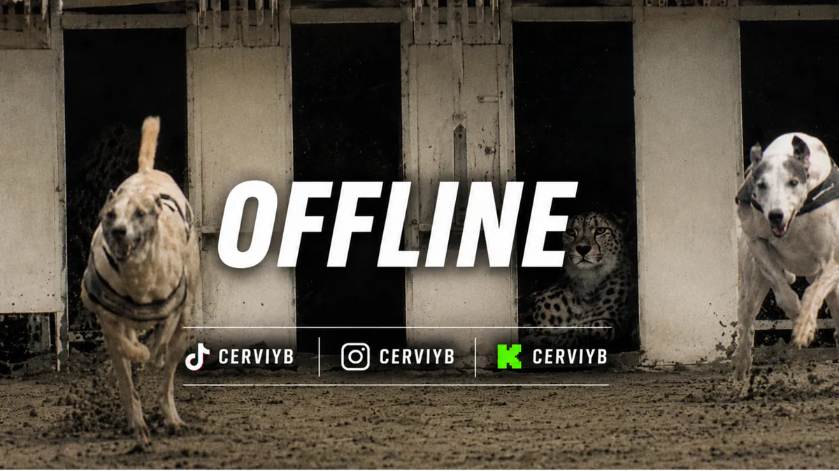 Cerviyb