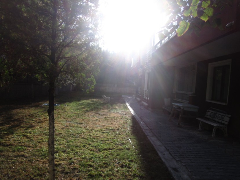 Emdre1