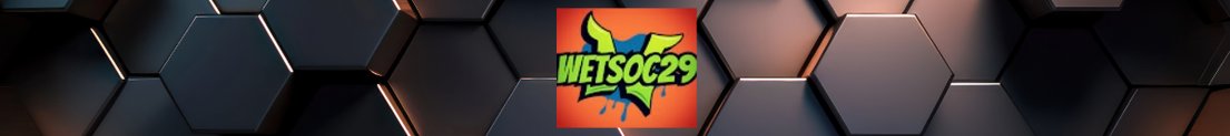 Wetsoc29