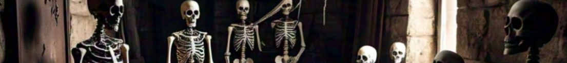 Leoric_7