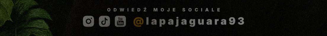 lapajaguara93