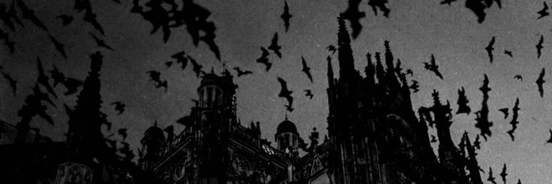 xBatNight