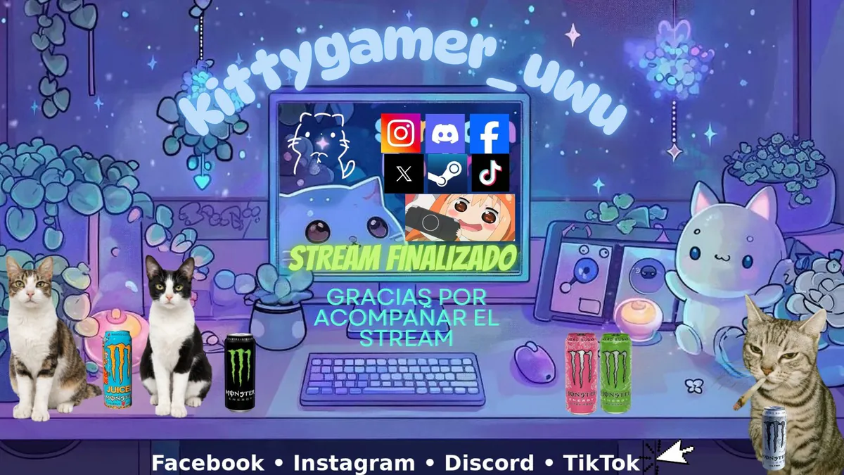 kittygamer_uwu