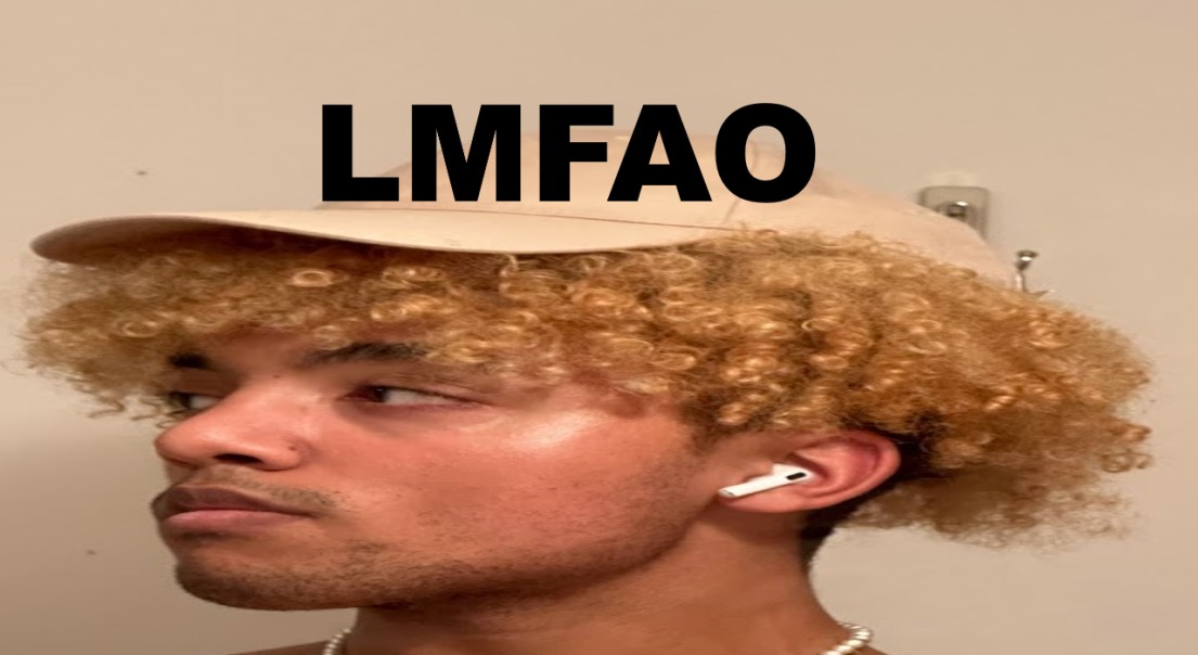 D_avid