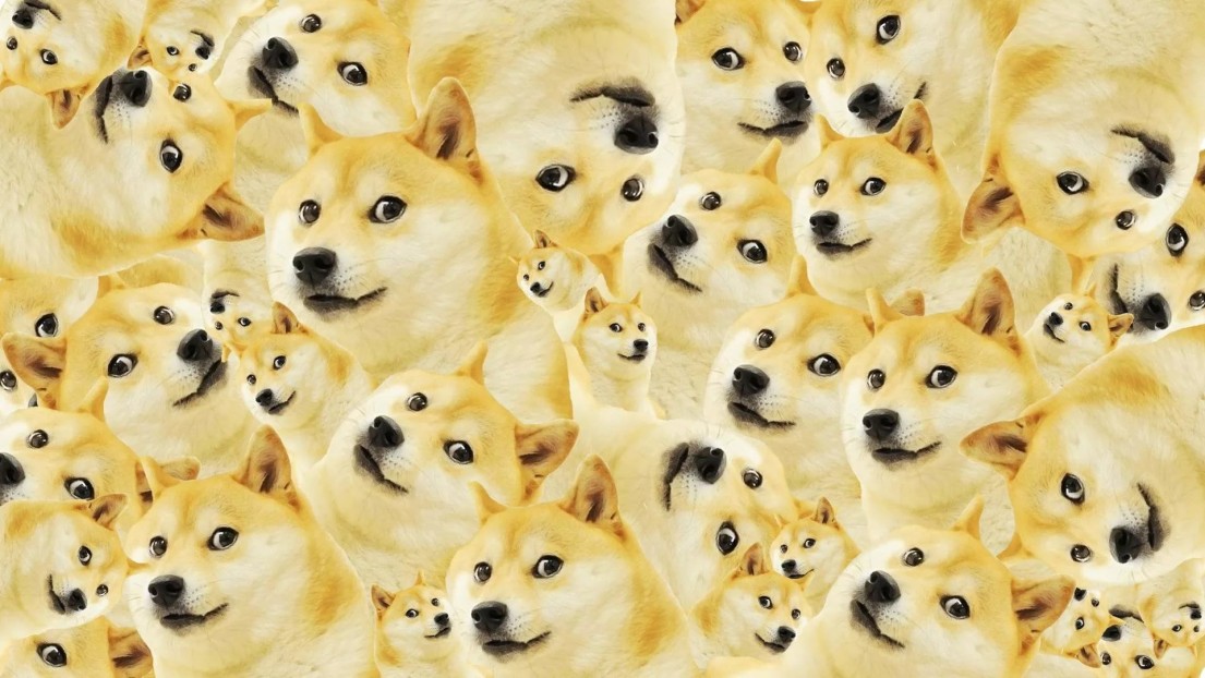 Doooge