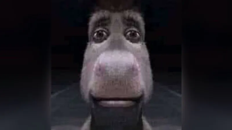 LarenOP