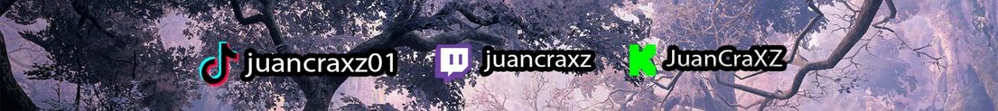 JuanCraXZ