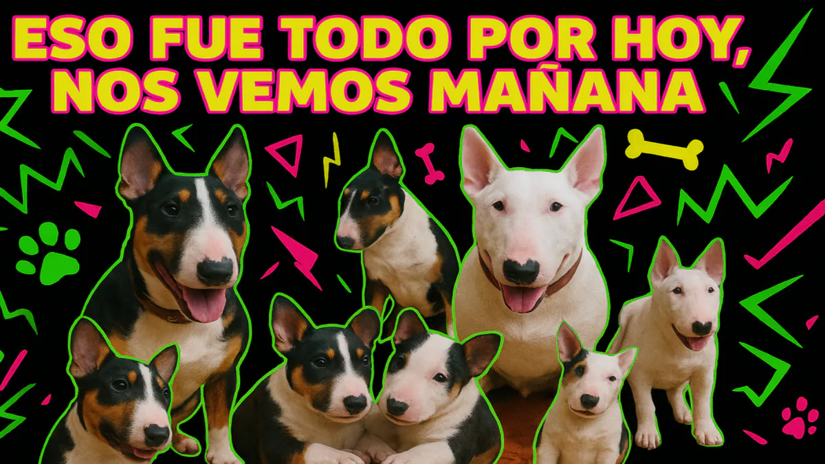 Pedrodoto