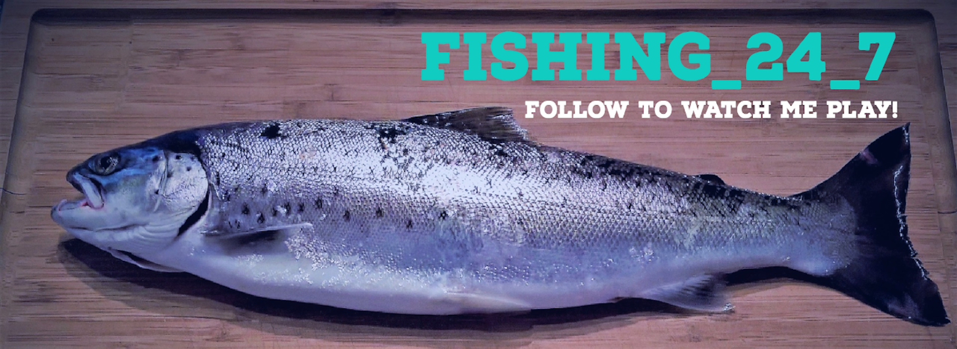 Chat Fishing_24_7 - Watch Live on Kick