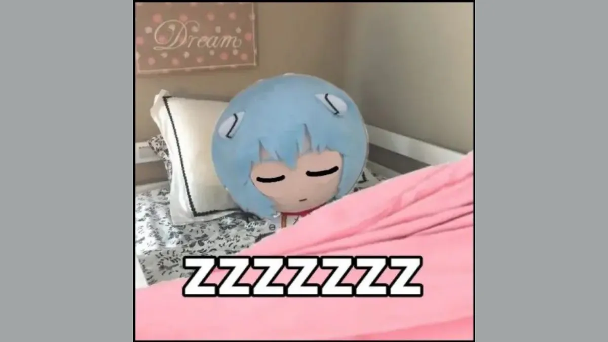 RemSora
