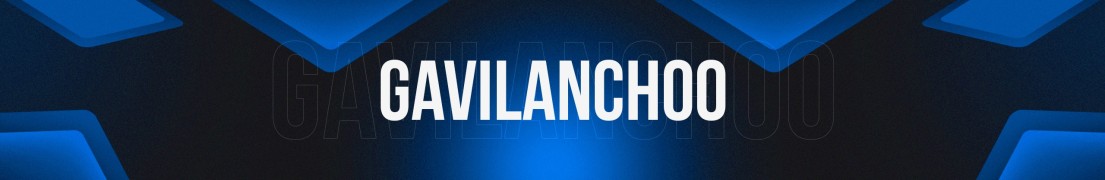 Gavilancho