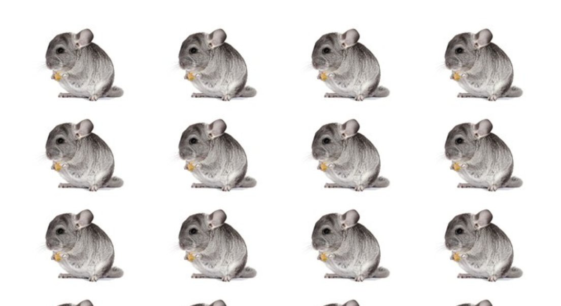 FufuChiru
