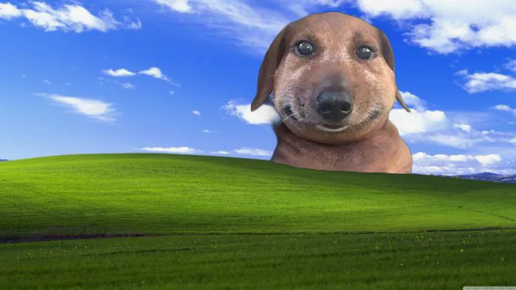 Umutdgn