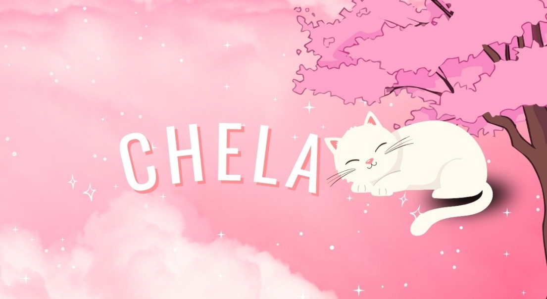 chelacodm