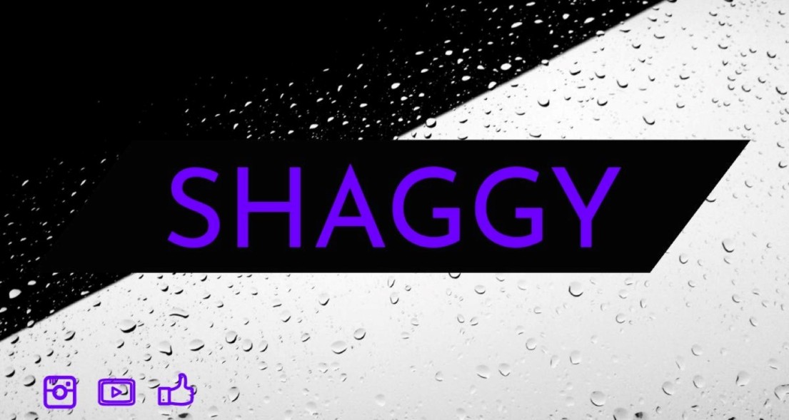 Shaggytv87