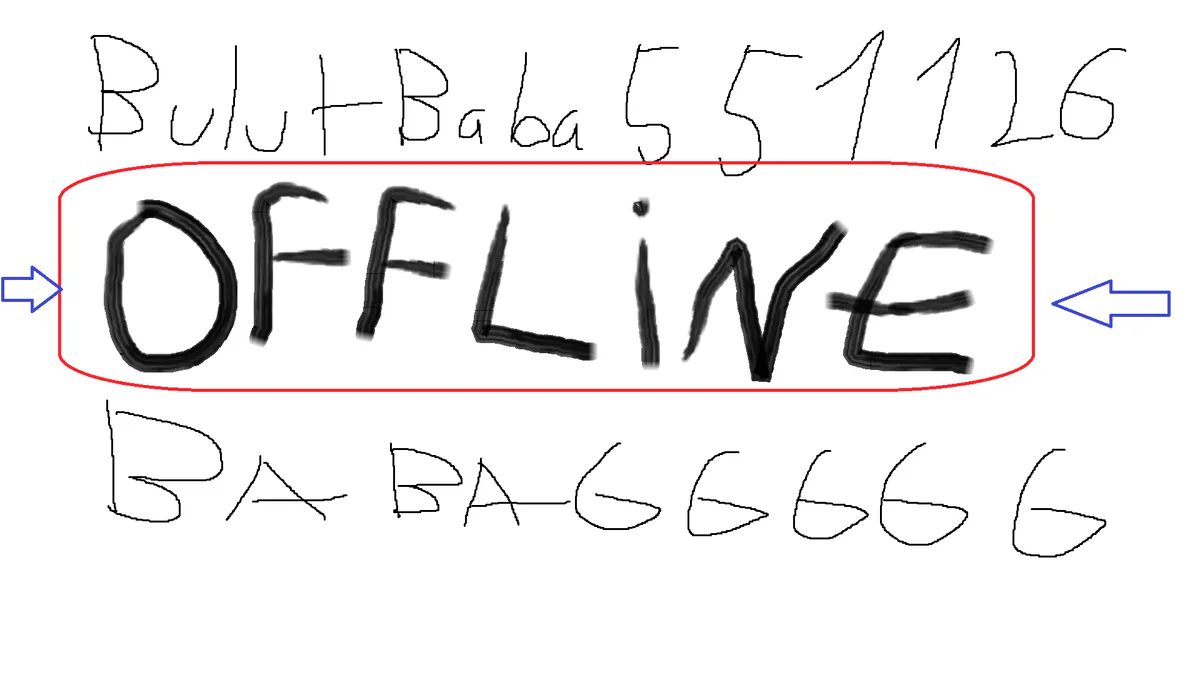 blutwashere