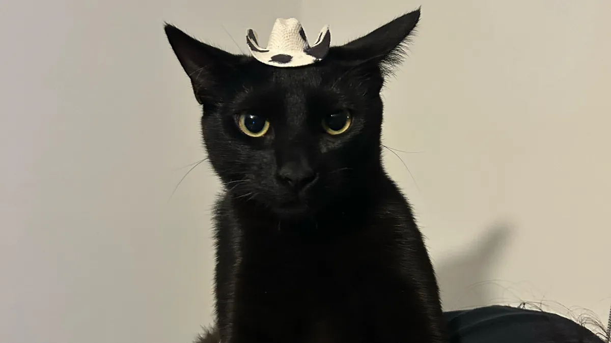 FerTijerina