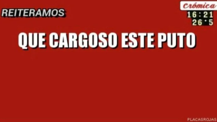 avigailmz