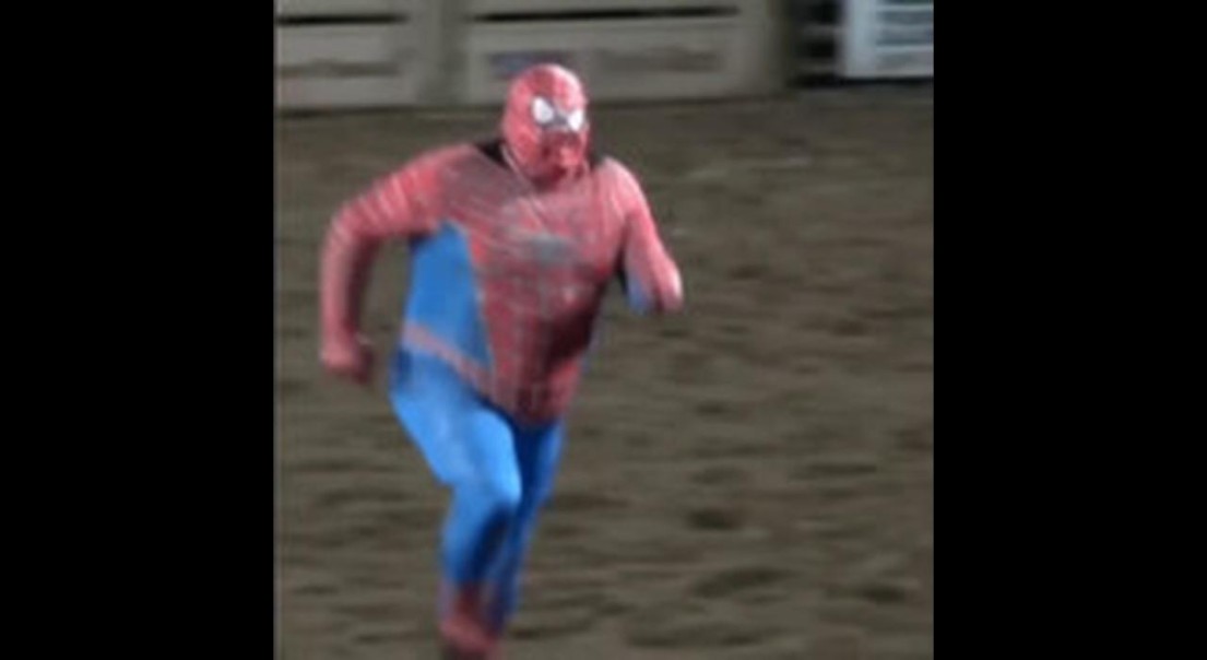 PersianSpooderman