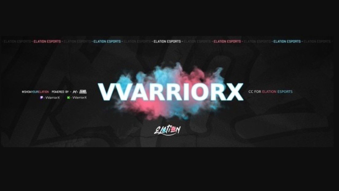 VVarriorX