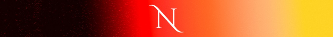 NeuroIDO