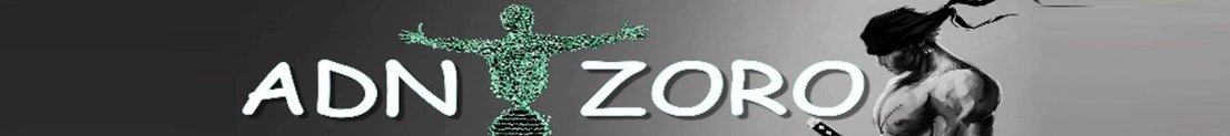 Adn_Zoro