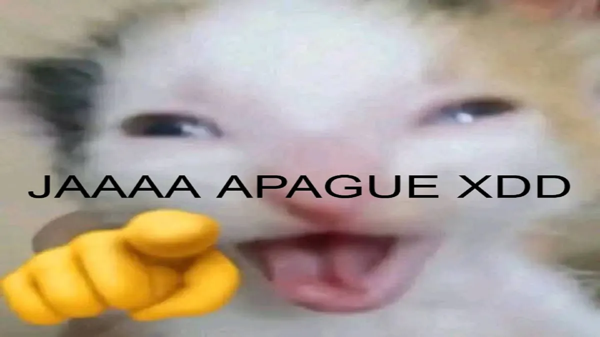 Matichero