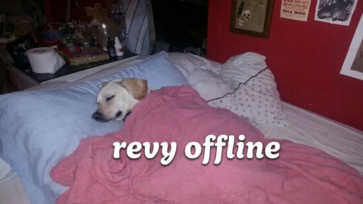 qRevyy
