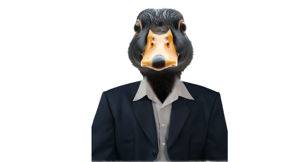 wooblackduck