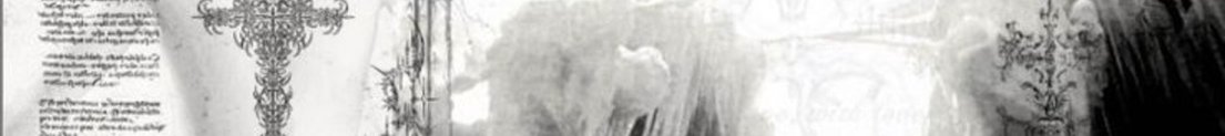 Vigile