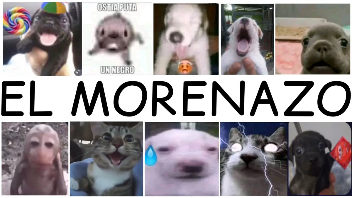 SoyNazoo