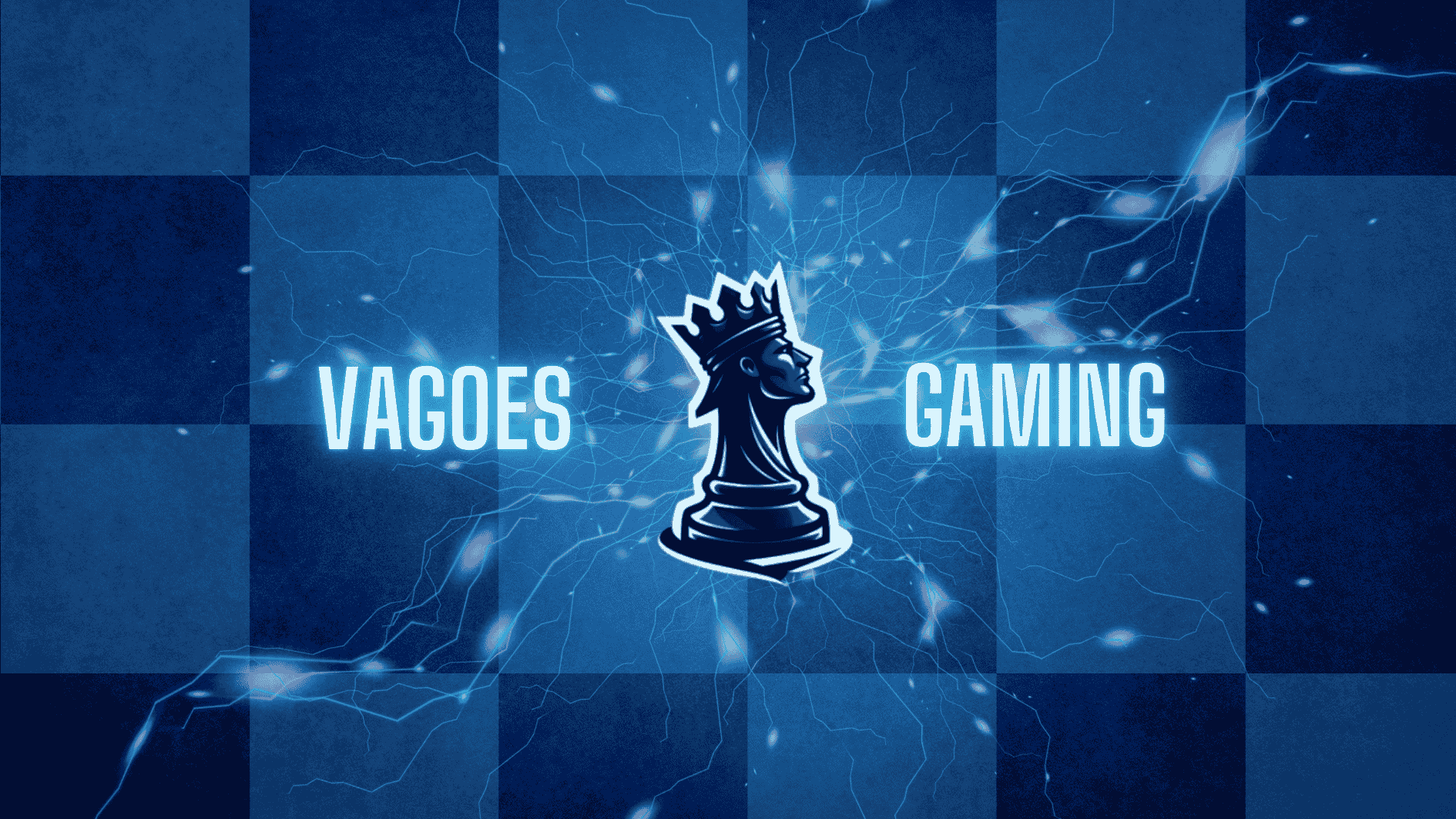 Kick banner for @vagoes