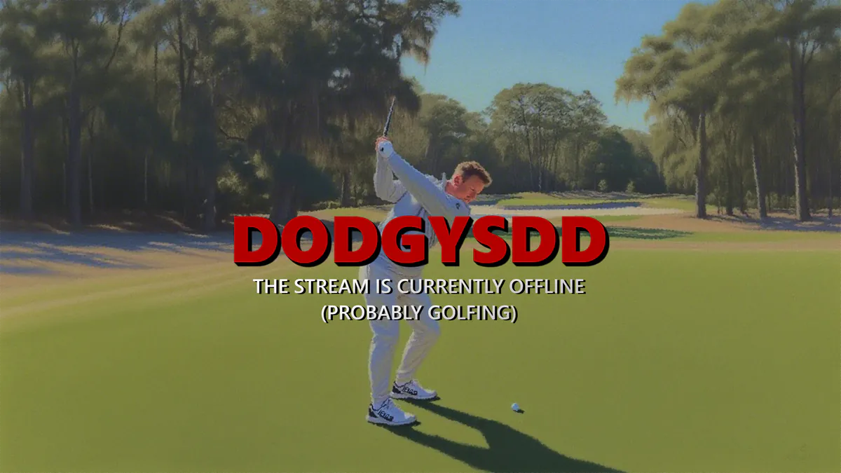dodgysdd